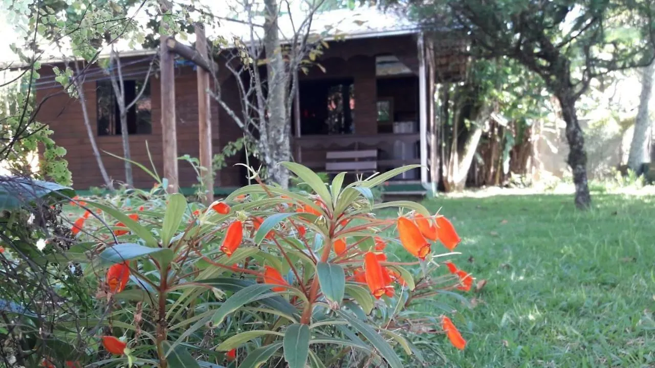 Solar Vovó Emma House Vila Penha  Casa de Férias Penha (Santa Catarina)
